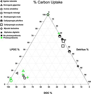 Sponge–Microbe Interactions on Coral Reefs: Multiple Evolutionary Solutions to a Complex Environment